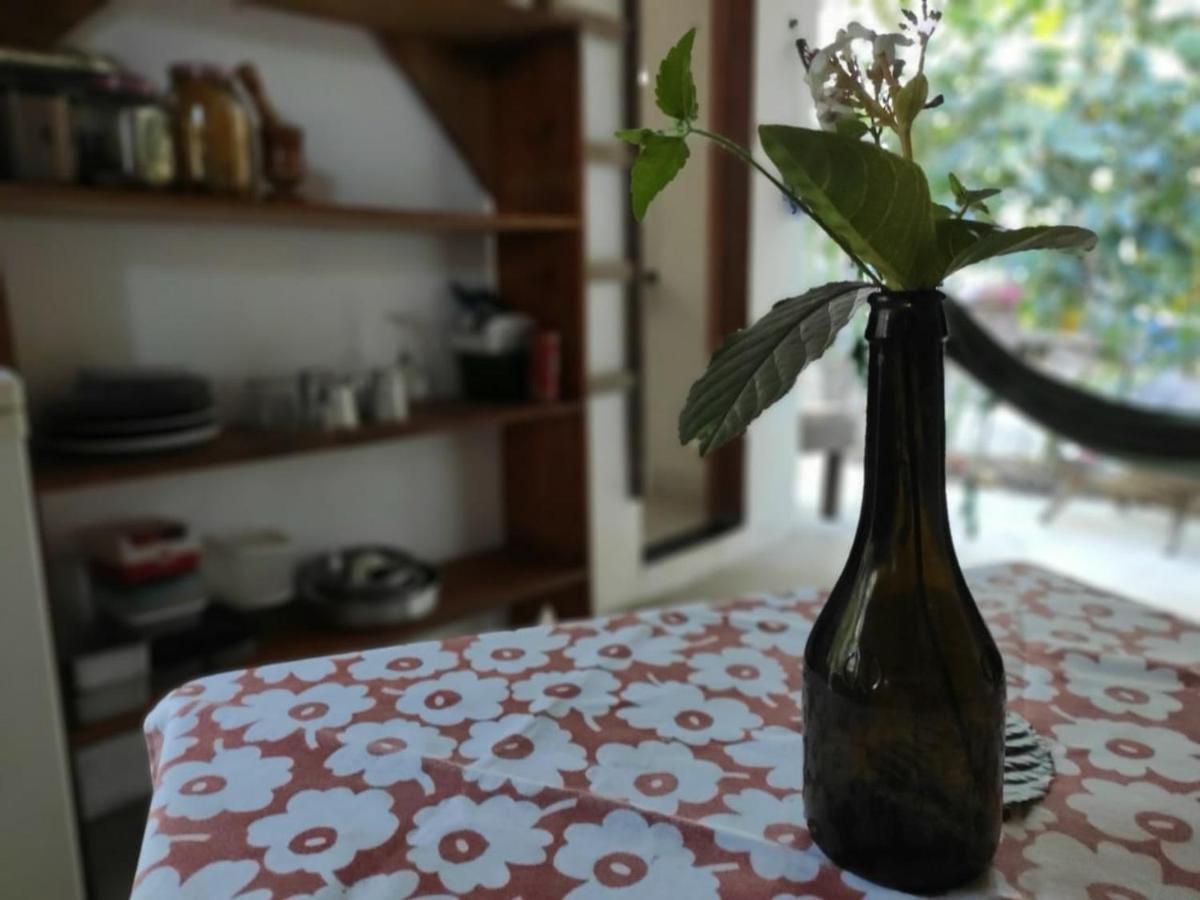 Apartment Espaco Pe De Mangaba - Natureza E Simplicidade