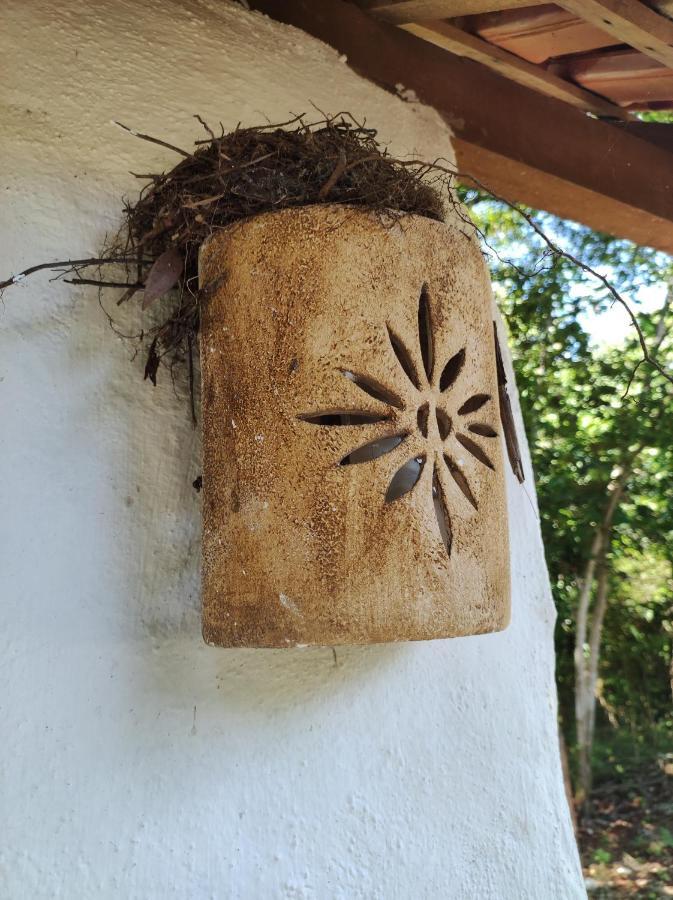 Espaco Pe De Mangaba - Natureza E Simplicidade *